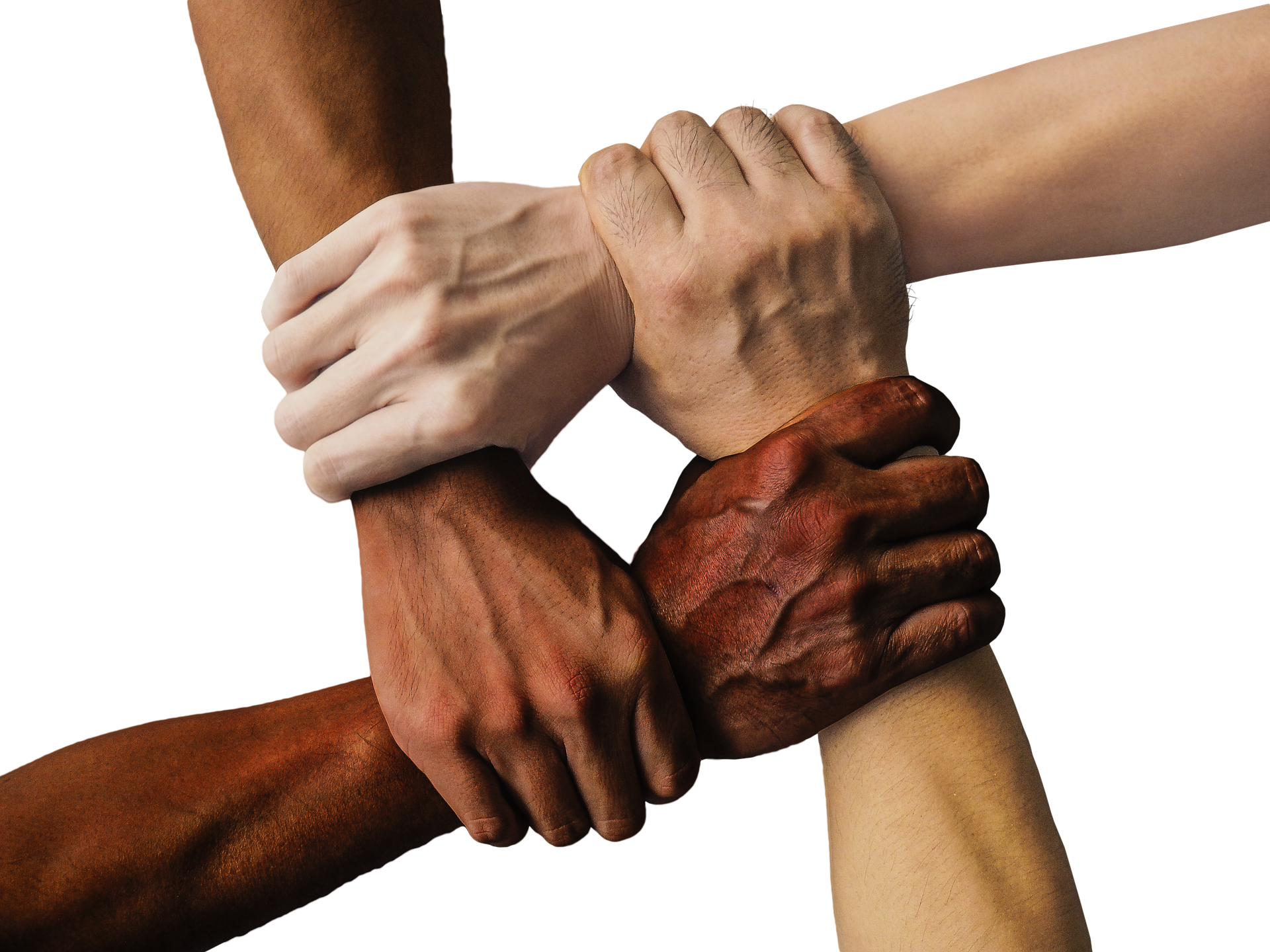 Are agile organisations inclusive? Join our research team to find out...
