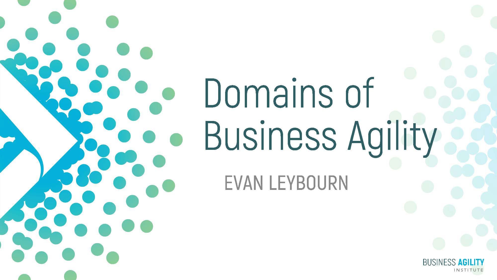 The Domains of Business Agility